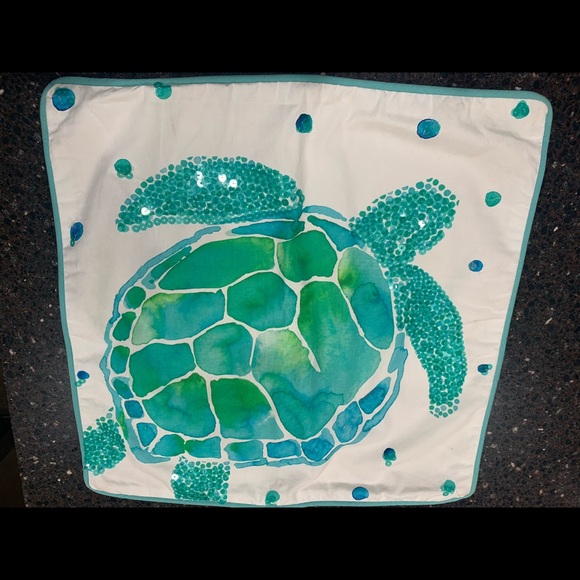 Pottery Barn Teen pillow covers / sham - Picture 2 of 8